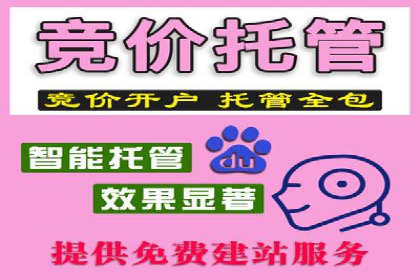 百度竞价排名服务助力：某品牌迅速占领市场